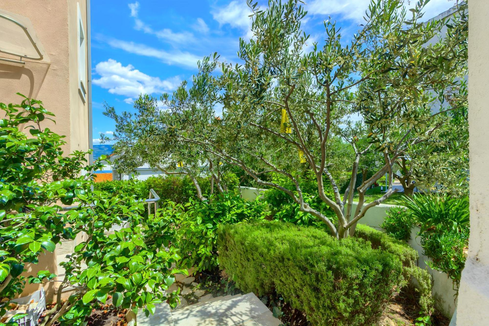 טרוגיר Villa Jela מראה חיצוני תמונה