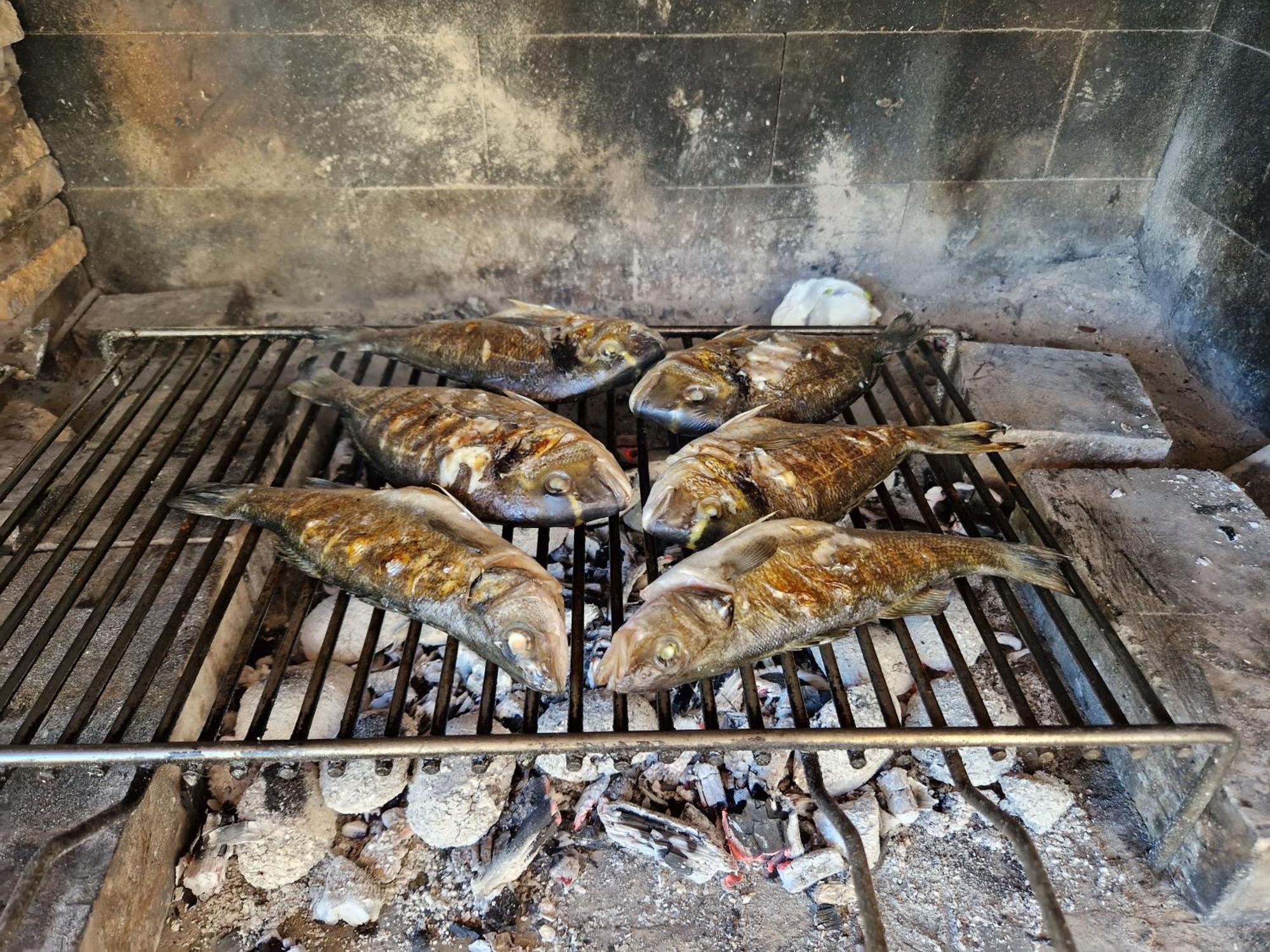 טרוגיר Villa Jela מראה חיצוני תמונה